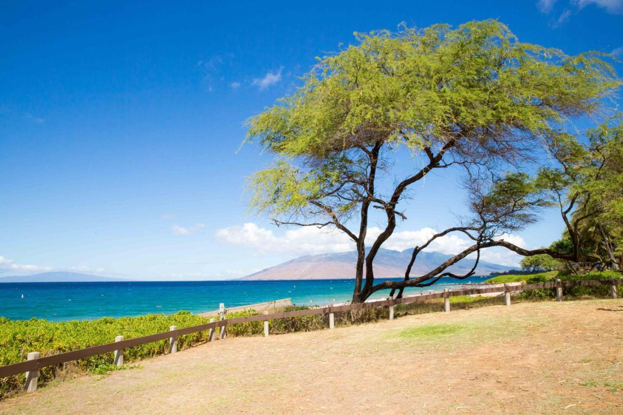Hale Kamaole 254 Villa Wailea  Exterior photo